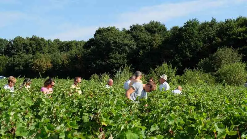 Conservatoire-Pineau-d-Aunis--OT-Pays-de-Vendome---8-