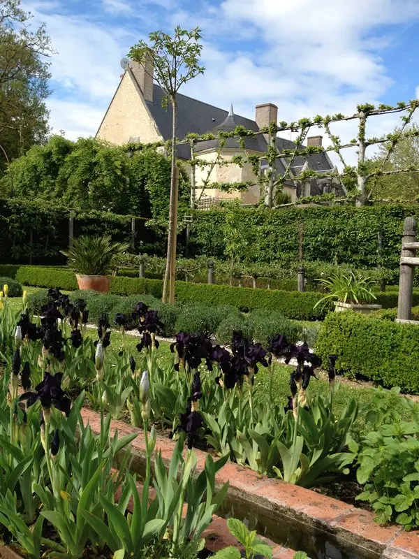 Les Iris du Domaine de Poulaines