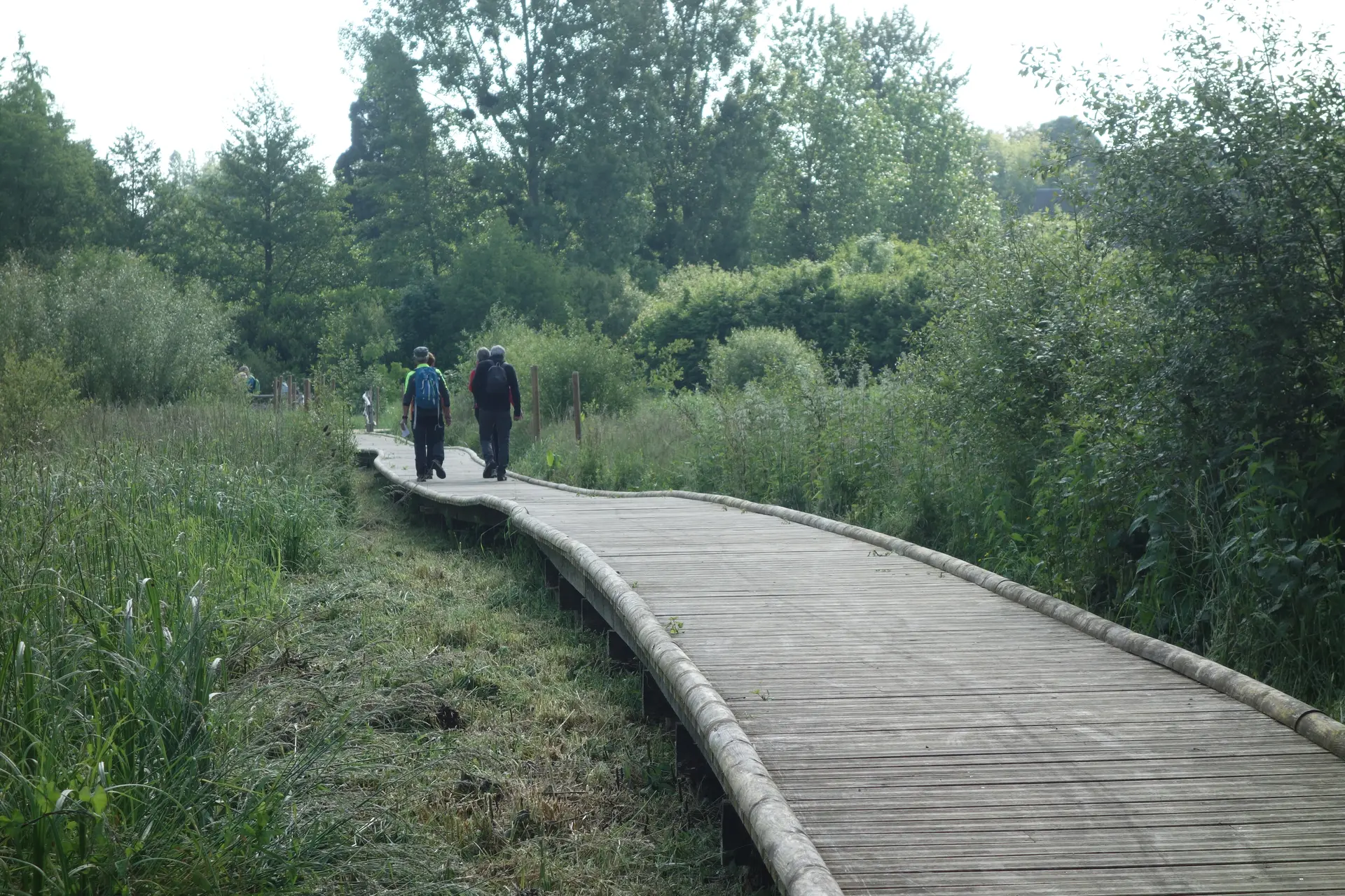 Randonnée Pédestre Sargé-sur-Braye