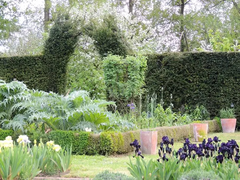 Les Iris du Domaine de Poulaines