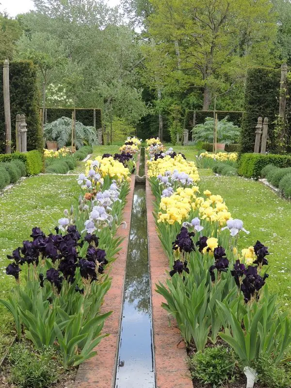 Les Iris du Domaine de Poulaines