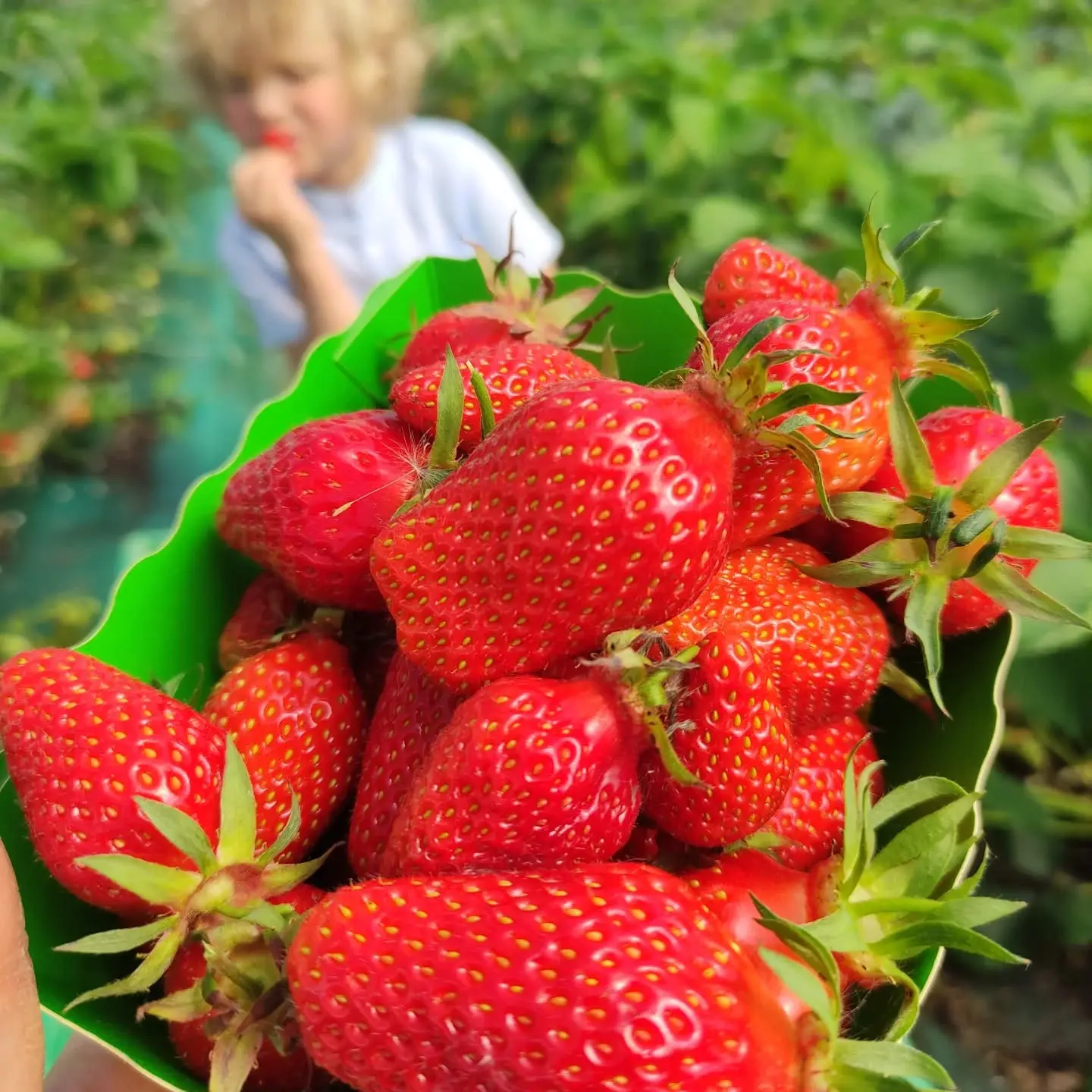 Découverte de la biodiversité et de la Ferme des trois chemins