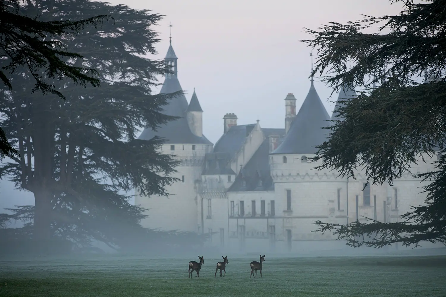 Domaine de Chaumont-sur-Loire_Rêves d'antan
