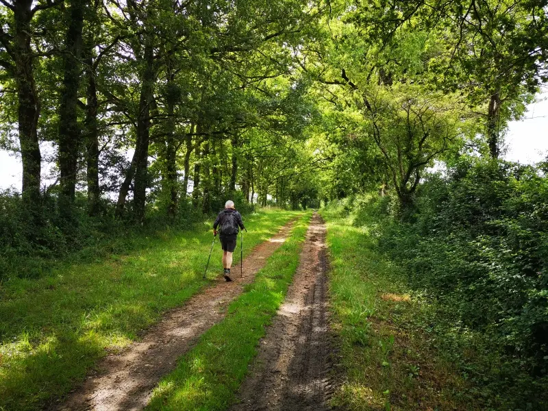 chemin randonnée