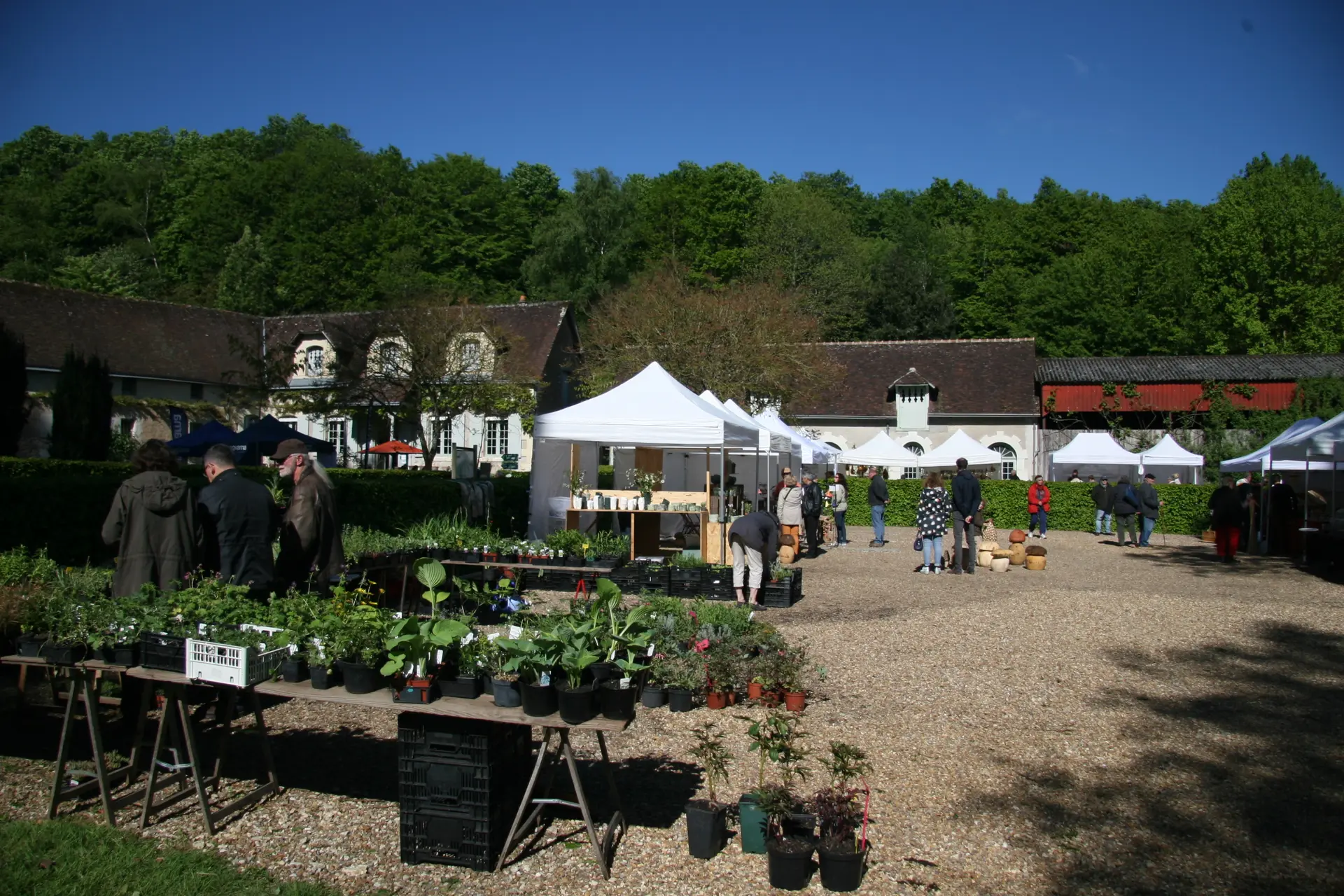 Marché aux plantes - Jardin du Plessis Sasnières