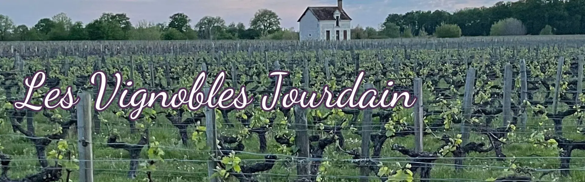 Les-Vignobles-Jourdain.
