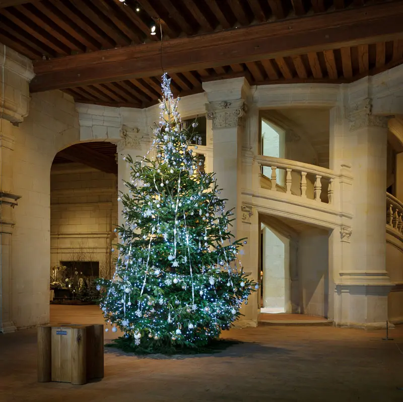 Noël-2015---Chambord-©-Léonard-de-Serres-(3)