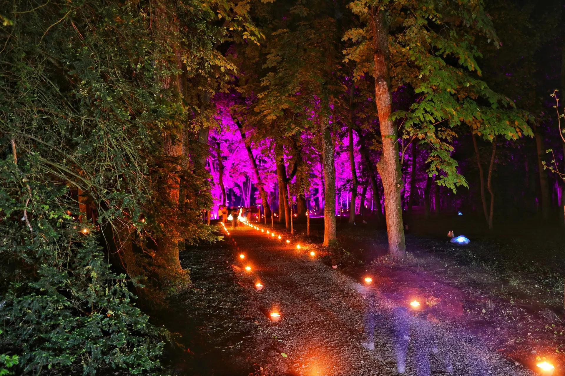 Nuit des Monuments 3 mai 2025 - Château parc de Meung sur Loire - Pierre Holley - 11