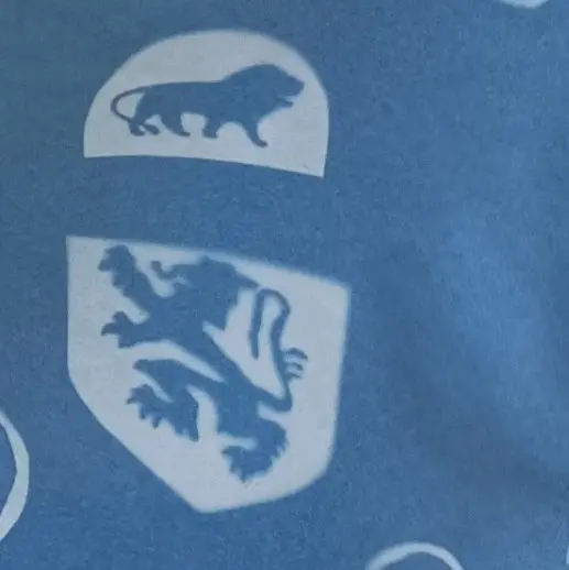 Que du bleu2
