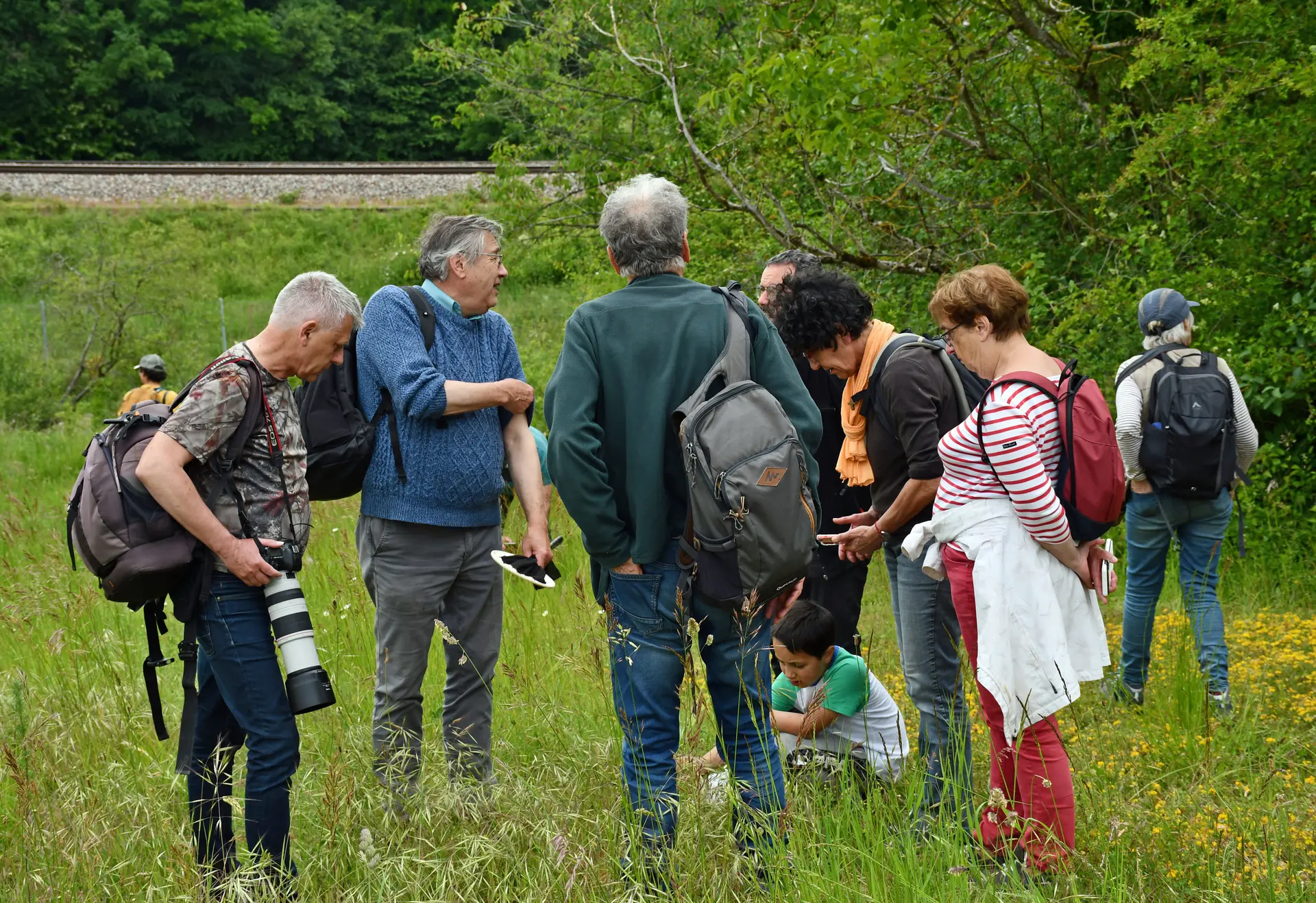 Tandem Flore et Insectes