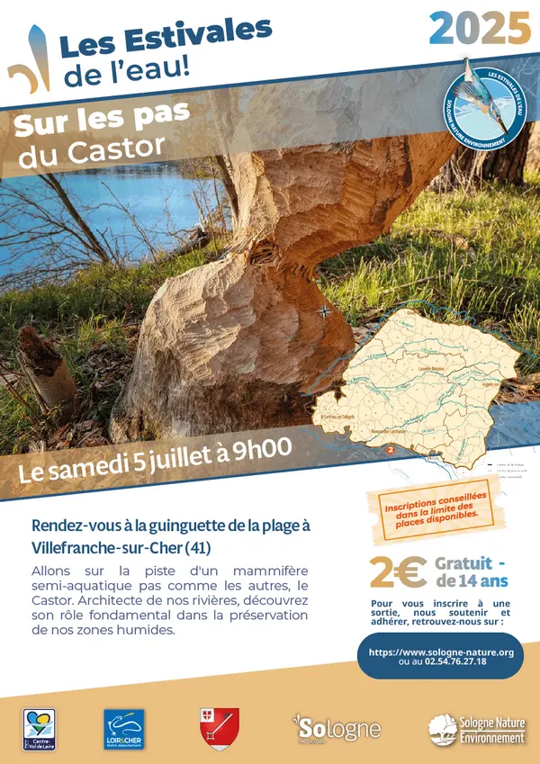 Sur les pas du castor