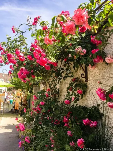 Festival des roses de Chédigny