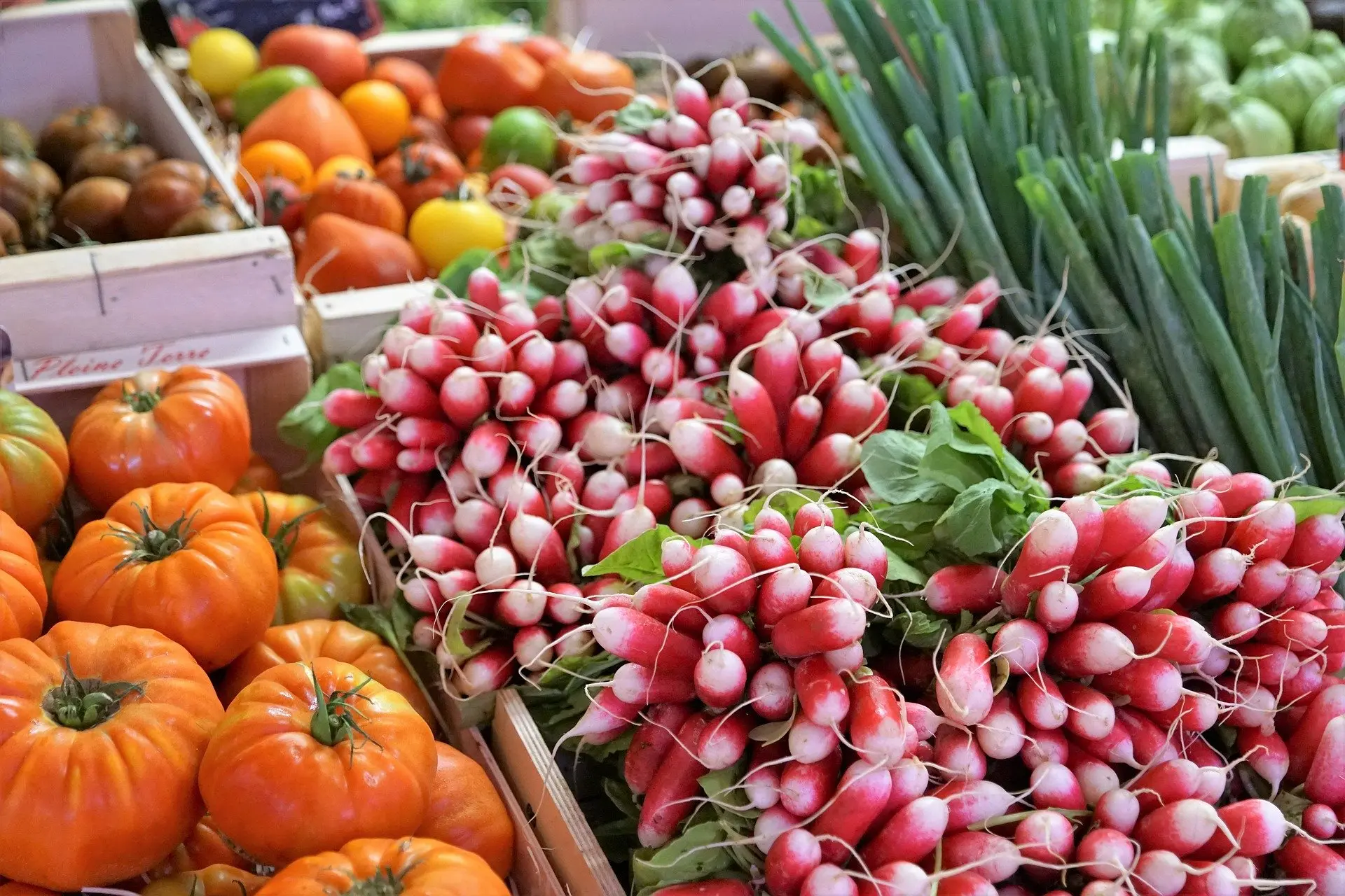 marche-hebdomadaire-sud-val-de-loire-producteurs
