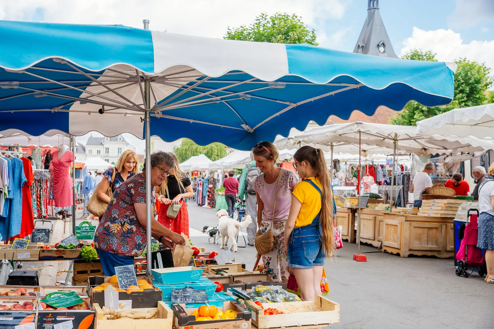 Marché hebdomadaire de Montrichard