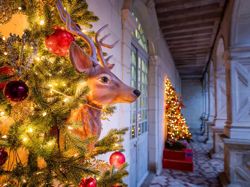 Noël en famille au cœur des jardins