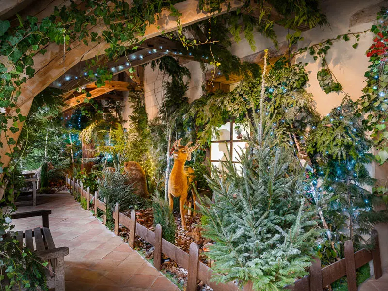 Noël en famille au cœur des jardins