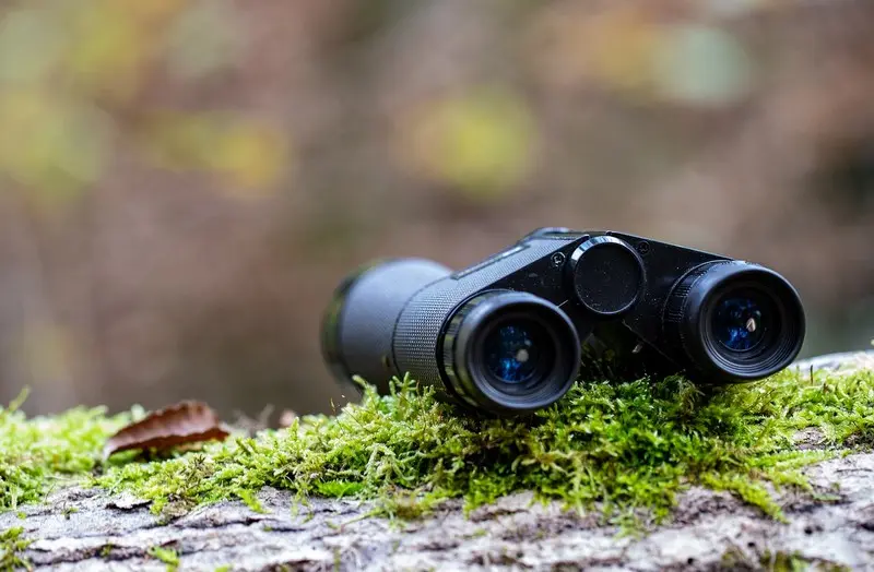observation-jumelles-pixabay