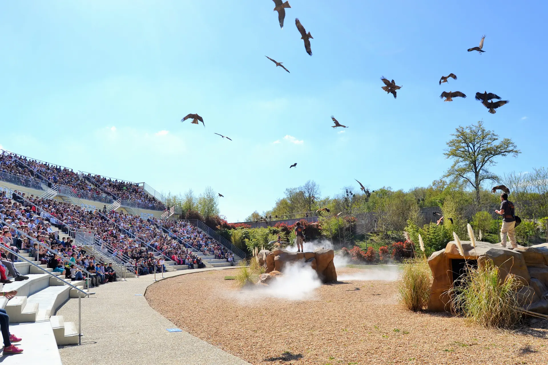 spectacle-maitres-des-airs