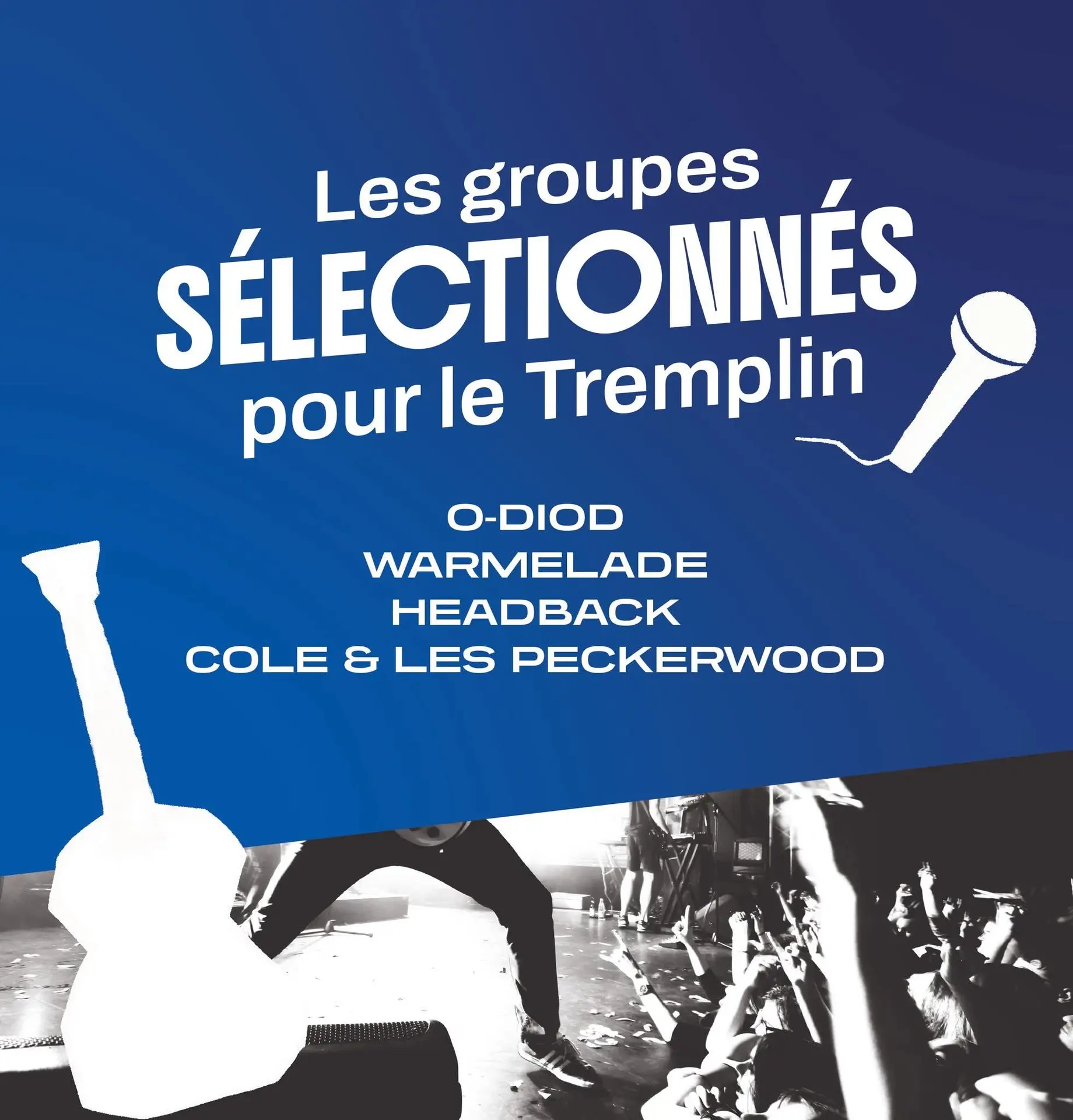 610809488_1498071285657355_8816367638736876418_n