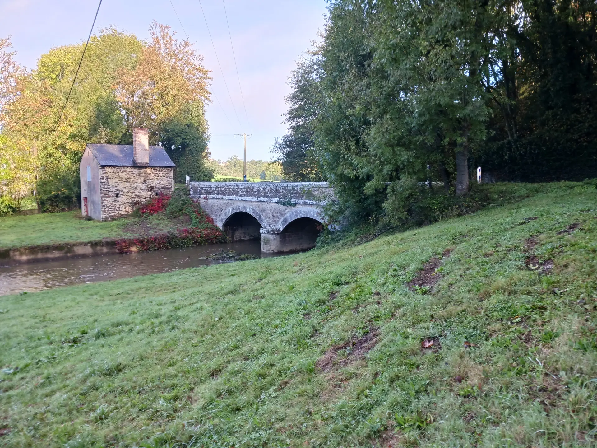 Zone humide à Javron-les-Chapelles