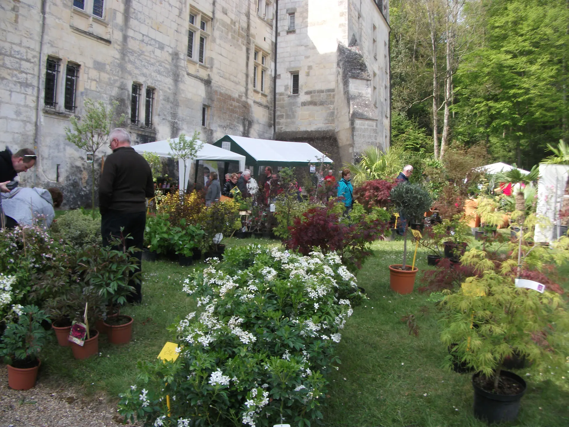 Courtanvaux Côté Jardin 2014 024