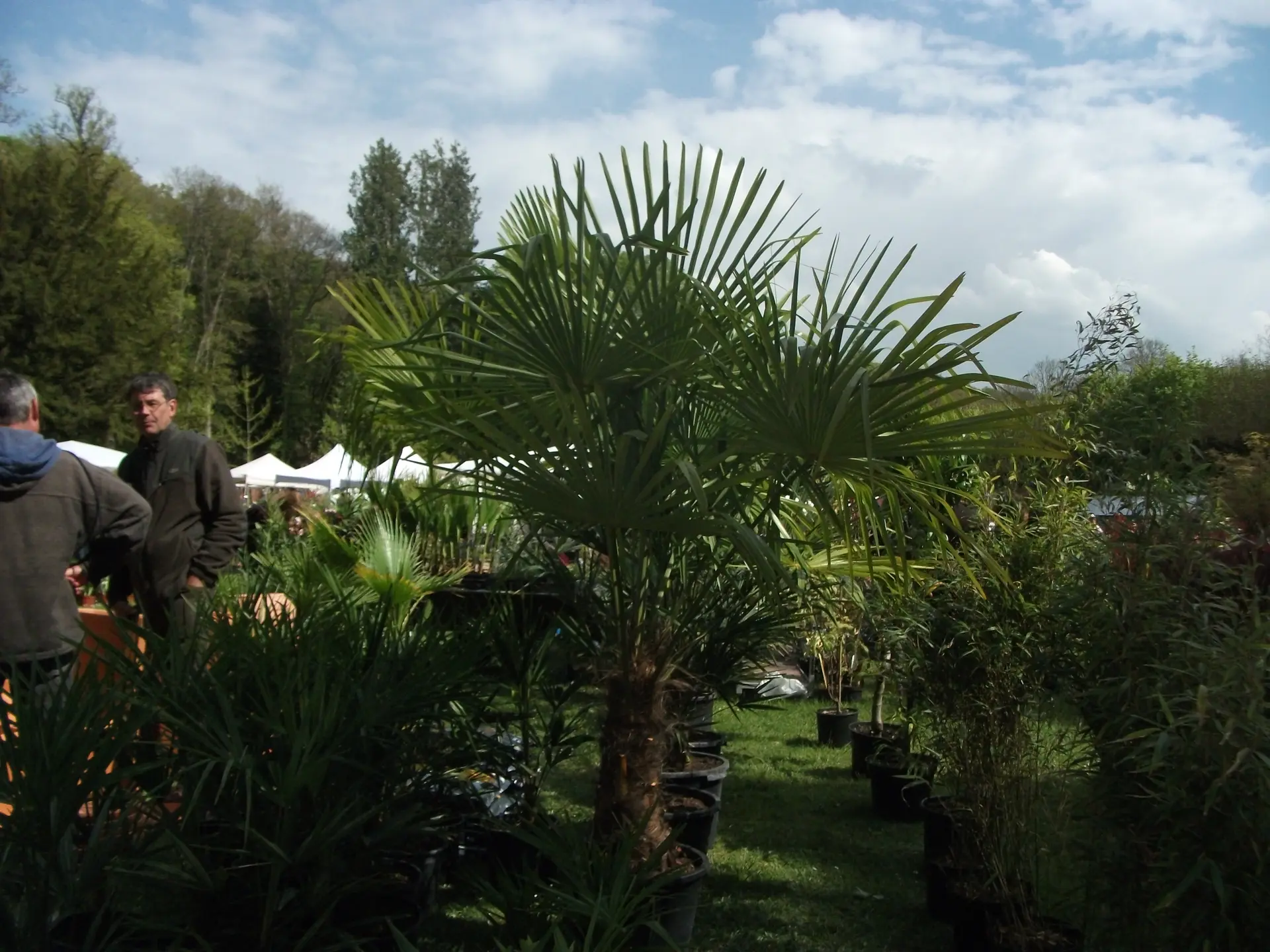Courtanvaux Côté Jardin 2014 026