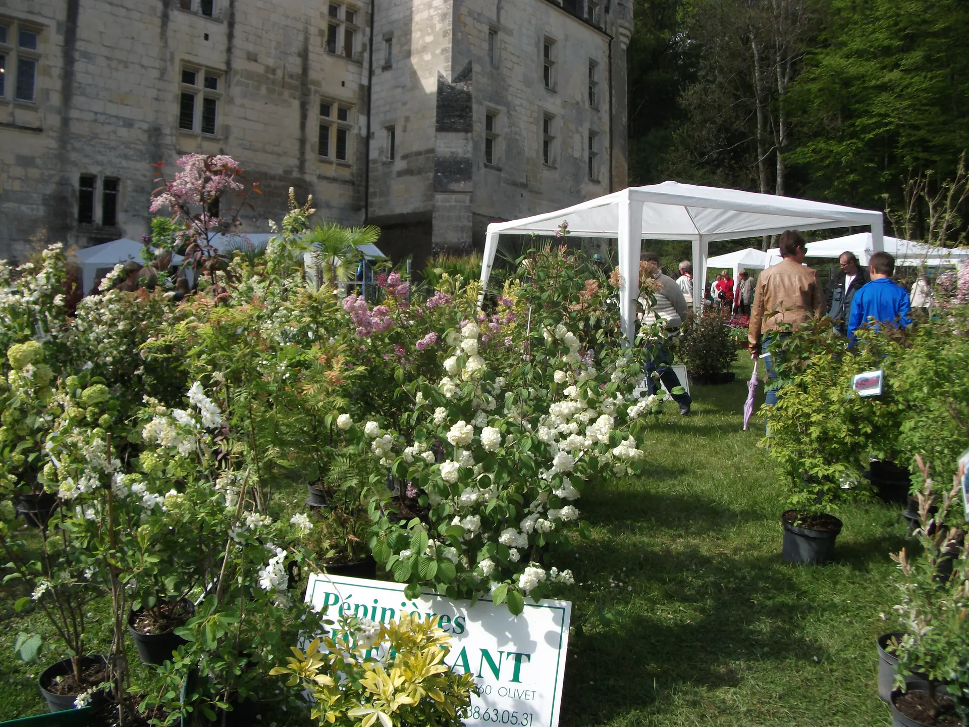 Courtanvaux Côté Jardin 2014 039