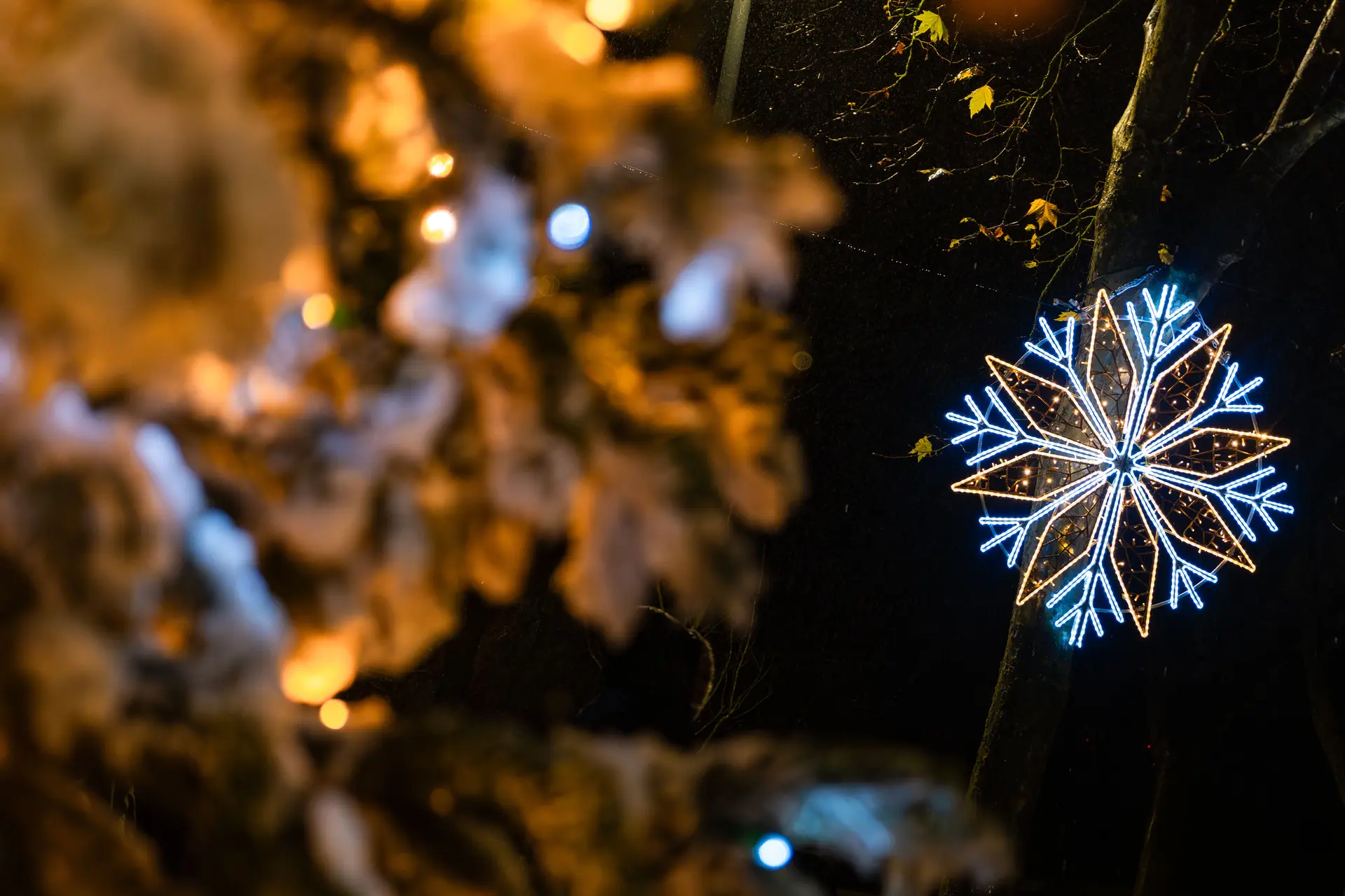 Dacterie, quartier de Lumières