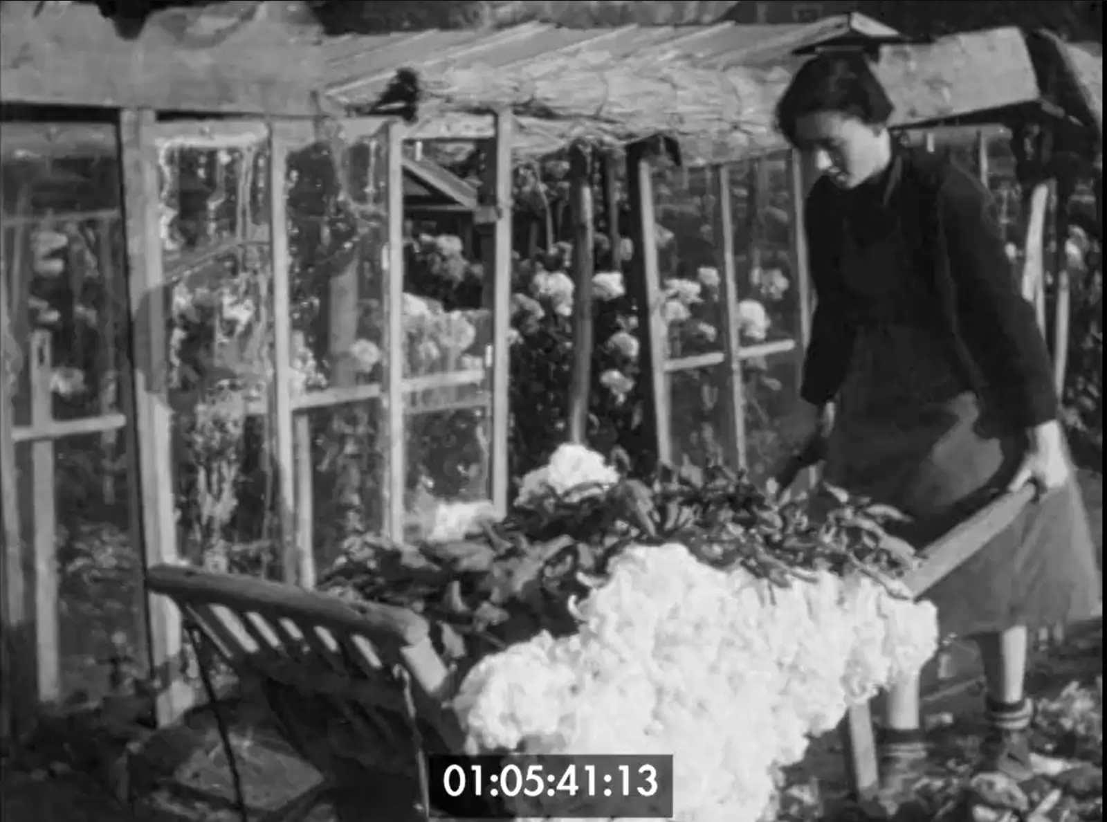 Images d'archives du Vignoble Nantais