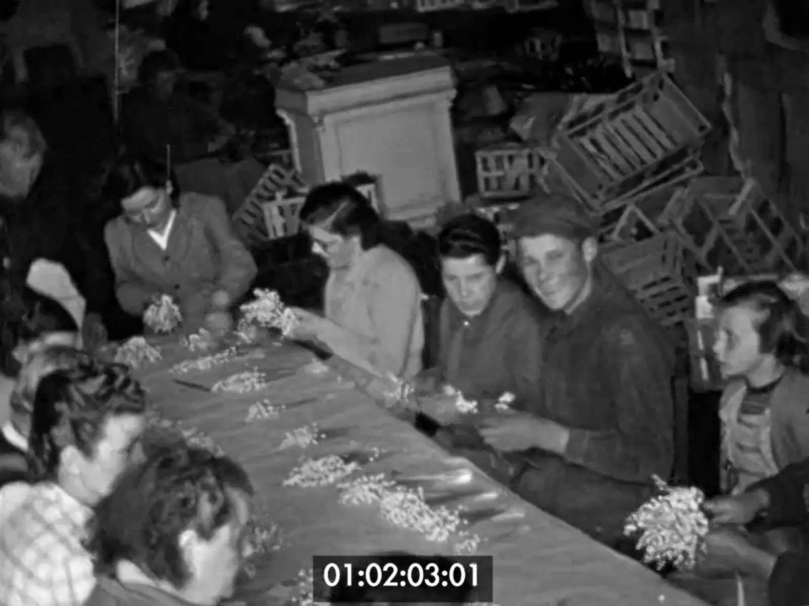 Images d'archives du Vignoble Nantais