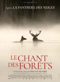 LE CHANT DES FORET, CINE