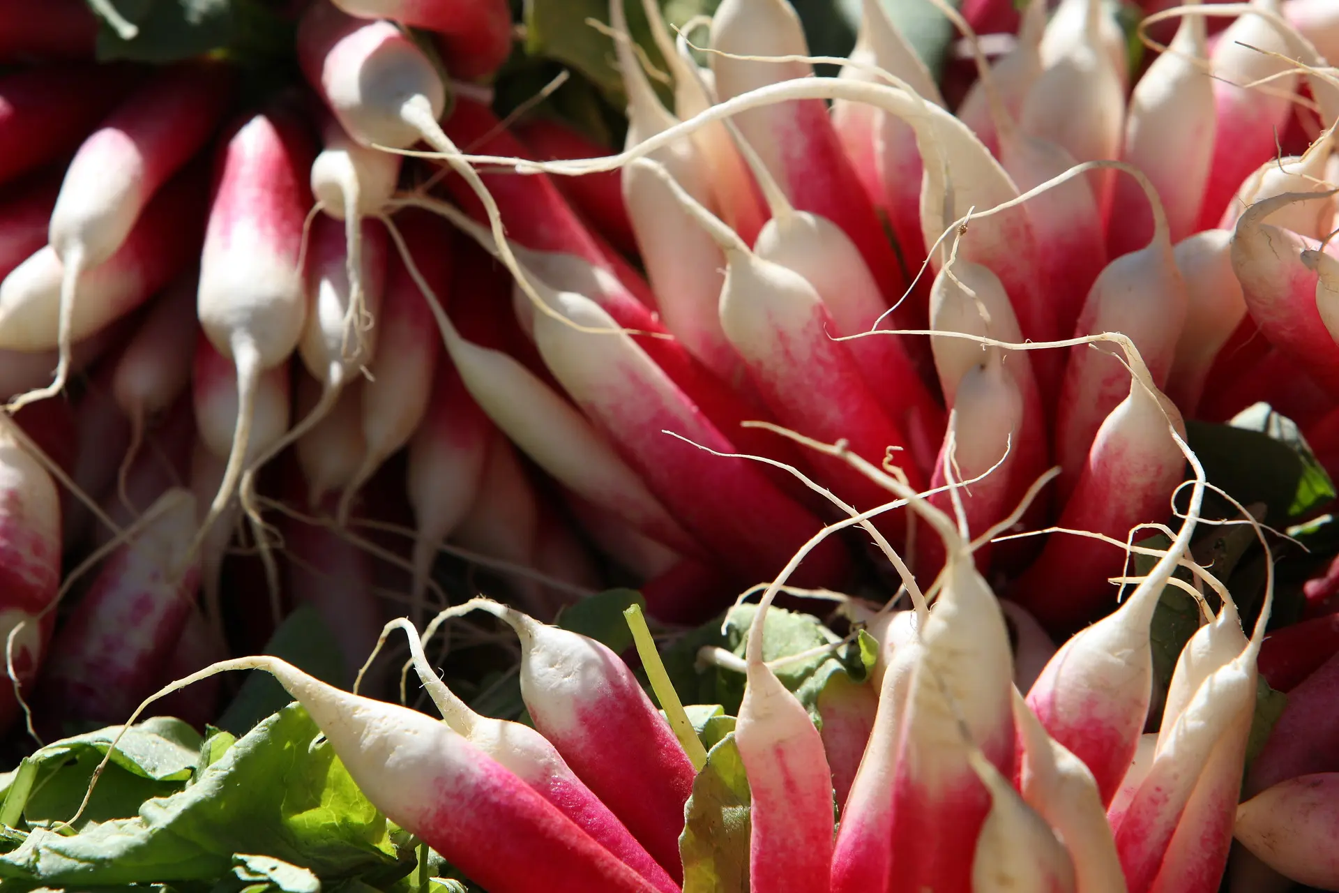 Marche--CP-Dominique_VERNIER-_Mayenne_Tourisme-1920px(3)