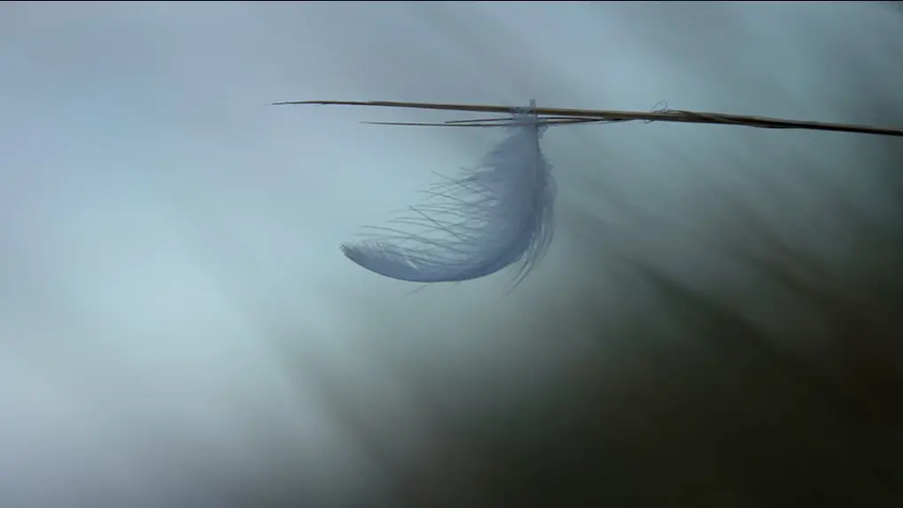 Minimalisme_Clisson_2025-DestinationVignobleNantais.com