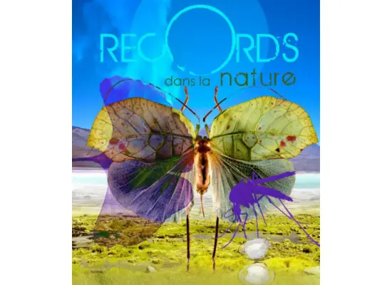 Records dans la nature