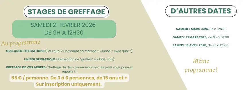 Stage de greffe 2102 - 1