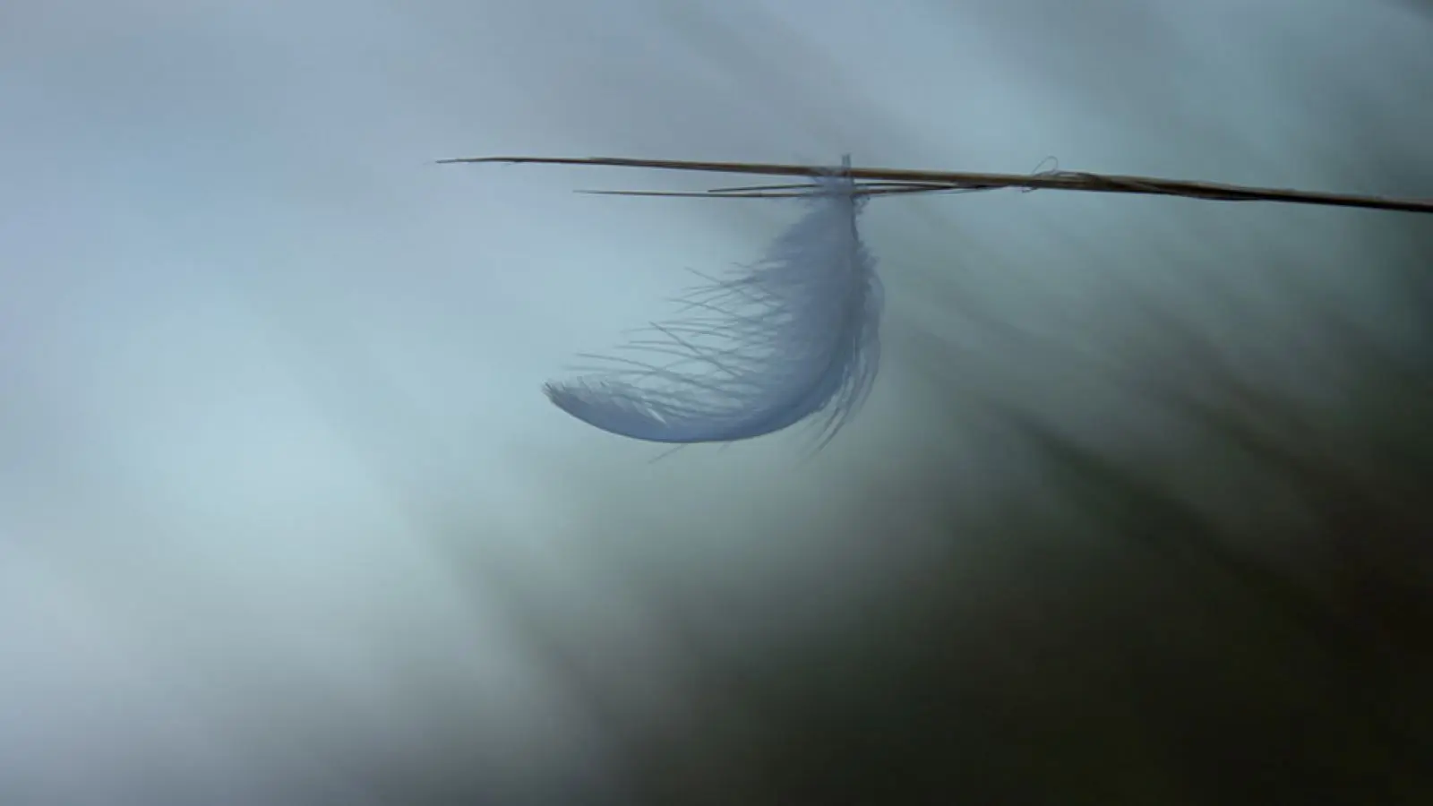 baladephotominimalisteclisson-2024-levignobledenantes-tourisme