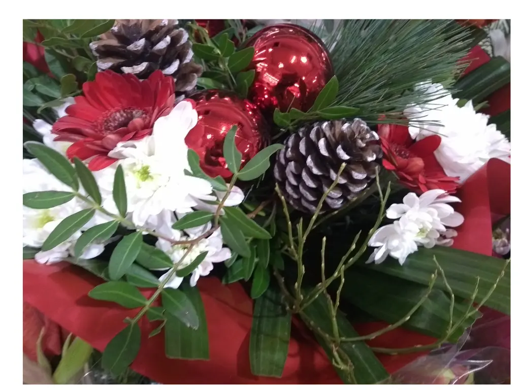 Tourinsoft Format photos - dans les fiches 1024x768 - 2