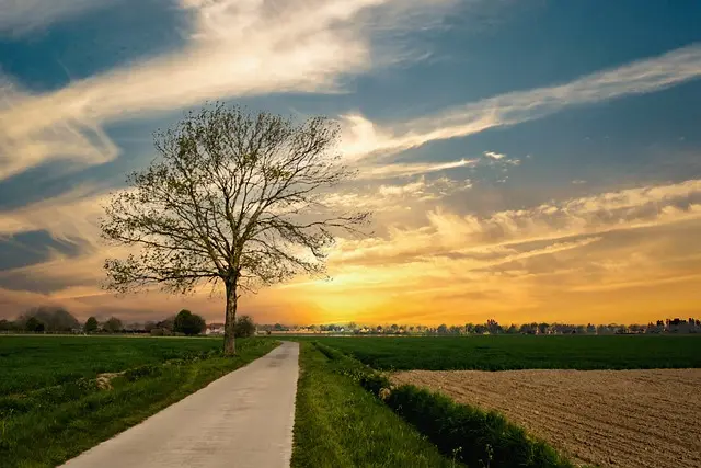 countryside-6789675_640