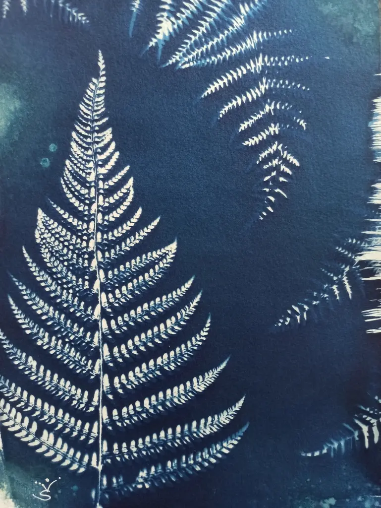 exposition maison bleue 2024 haute goulaine sophie Voillet