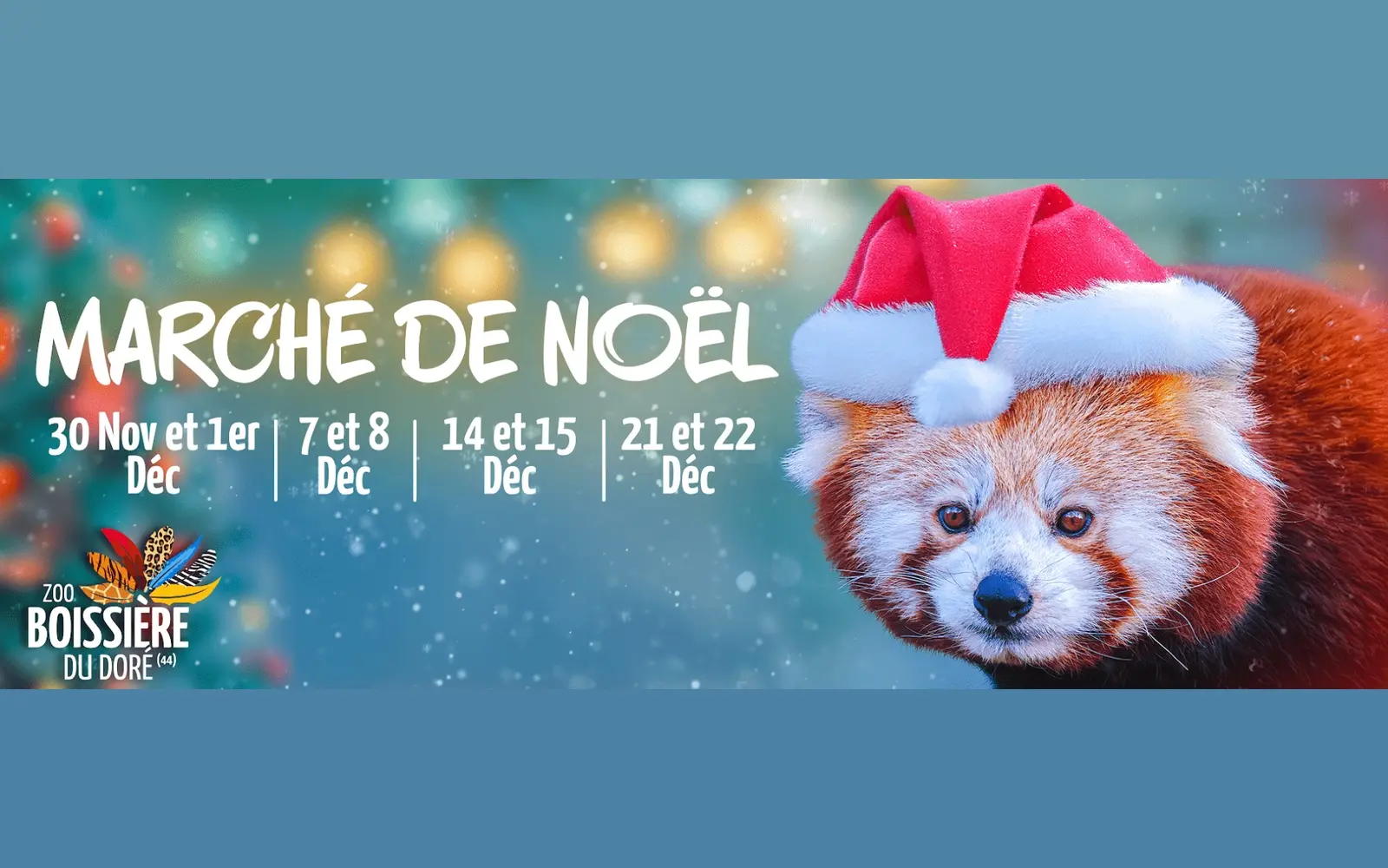 marche de noel zoo boissiere du dore