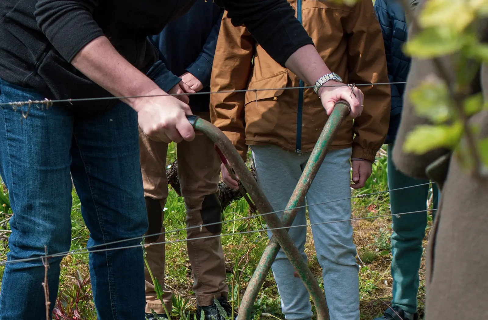 parcours touche a tout