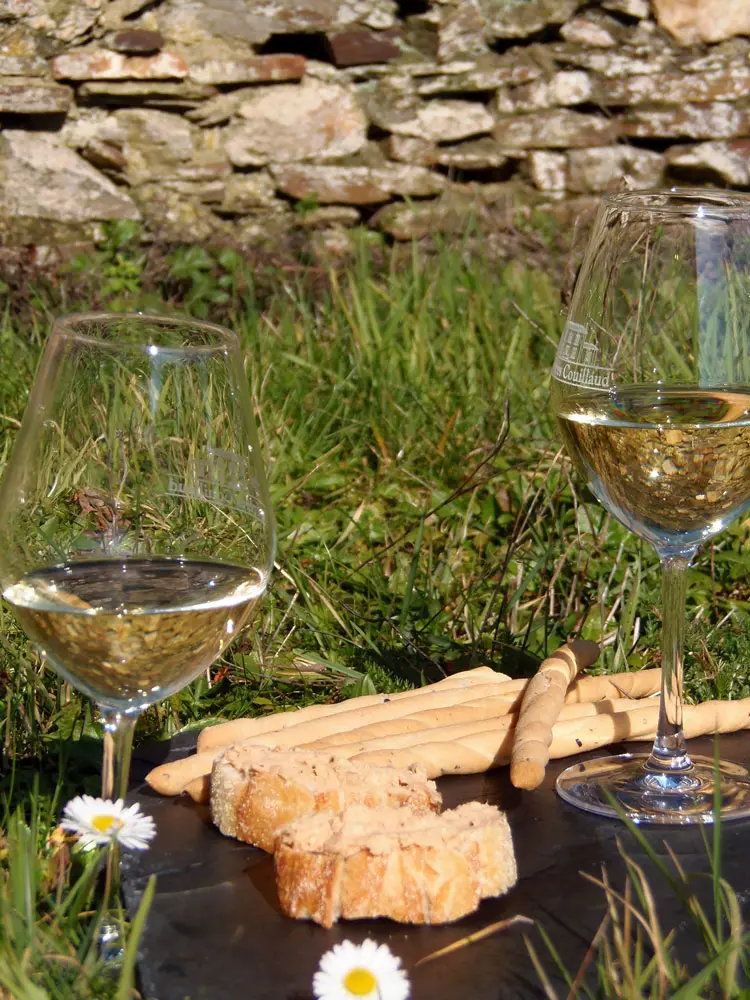 piqueniquelesfrerescouillaud-2024-levignobledenantes-tourisme