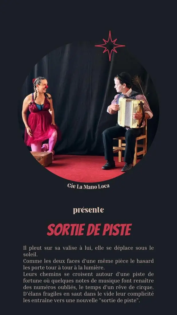 454728700_904108365088832_69720201119©Un Brin de Cirque41970124_n