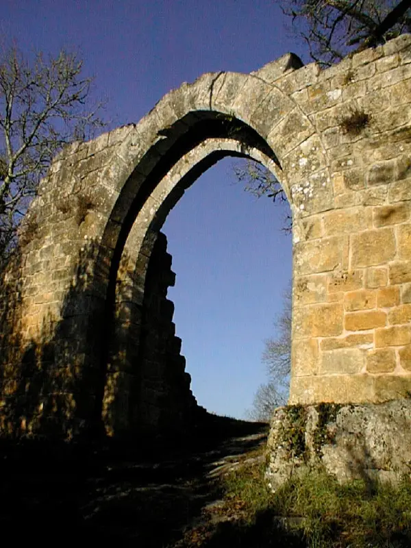 Montcabrier : Fortification d'Agglomération