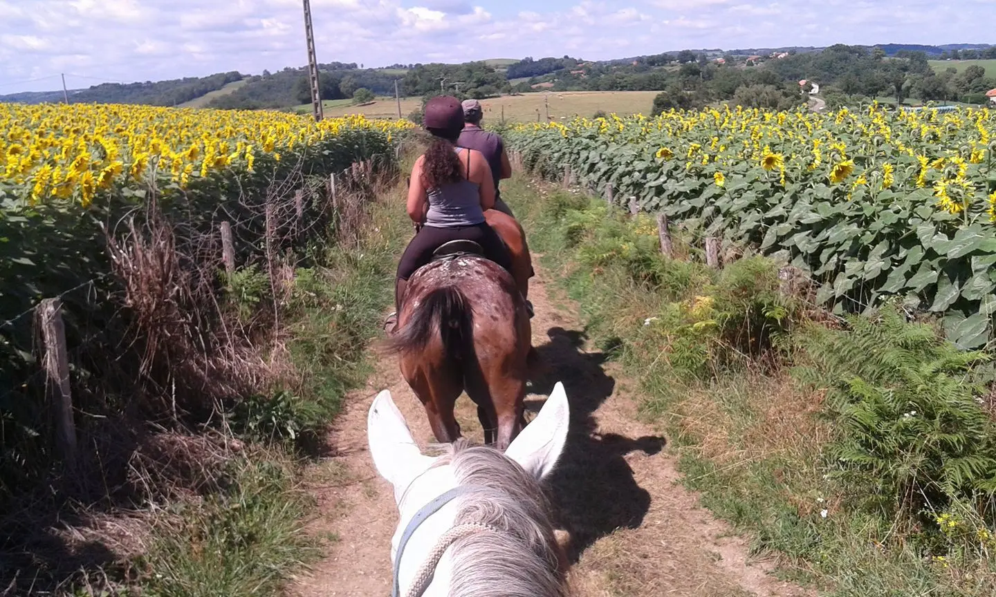 rando ferme de caffoulens