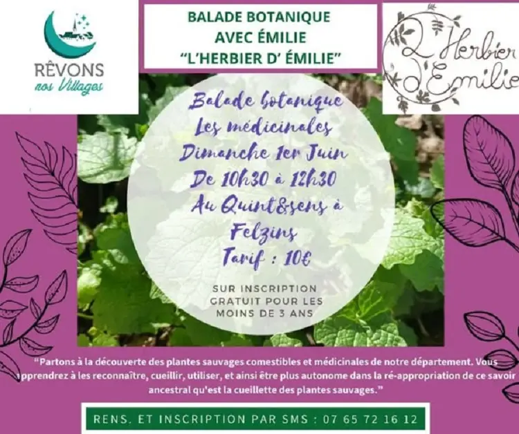 Balade Botanique avec Emilie à Felzins