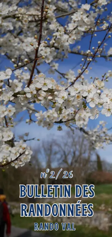 52176516756157615765555515751781887991791973613731721271