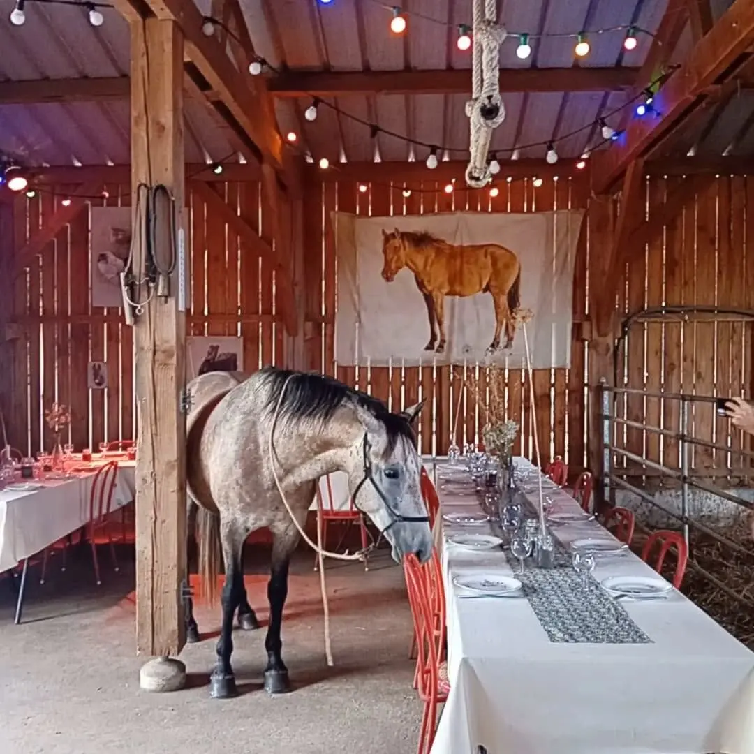 banquet à la jumenterie 1