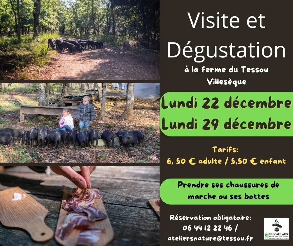 600175026_859758667013032_1613411043236282038_n