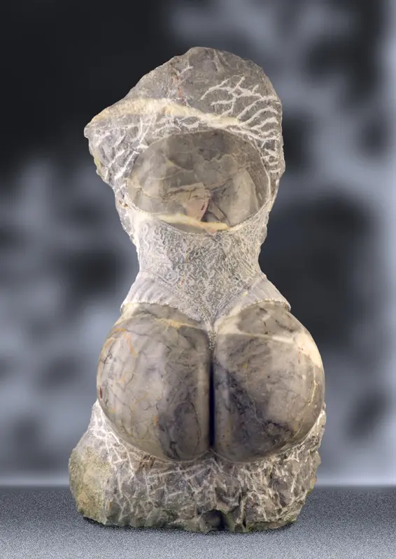 652 Janice de Beyrède-1